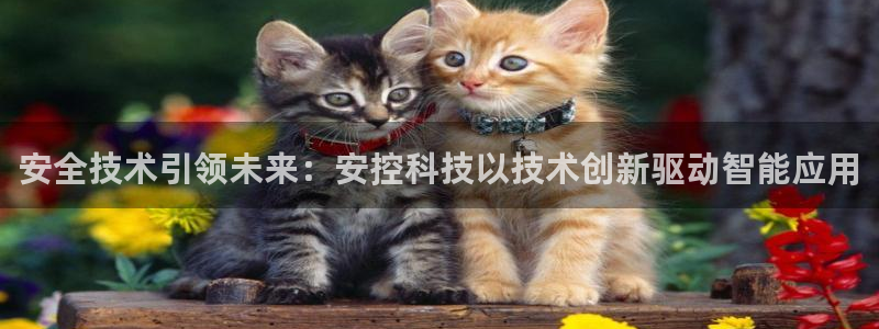 安全技术引领未来：安控科技以技术创新驱动智能应用