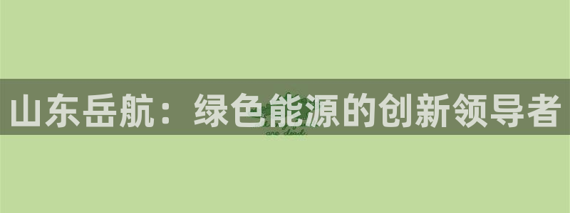 山东岳航：绿色能源的创新领导者