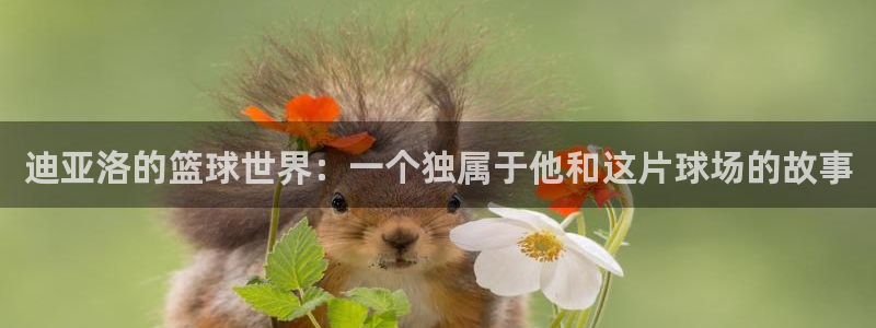 迪亚洛的篮球世界：一个独属于他和这片球场的故事