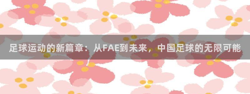 足球运动的新篇章：从FAE到未来，中国足球的无限可能