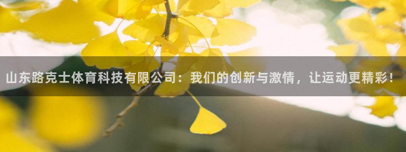 山东路克士体育科技有限公司：我们的创新与激情，让运动更精彩！