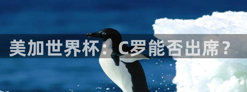 美加世界杯：C罗能否出席？